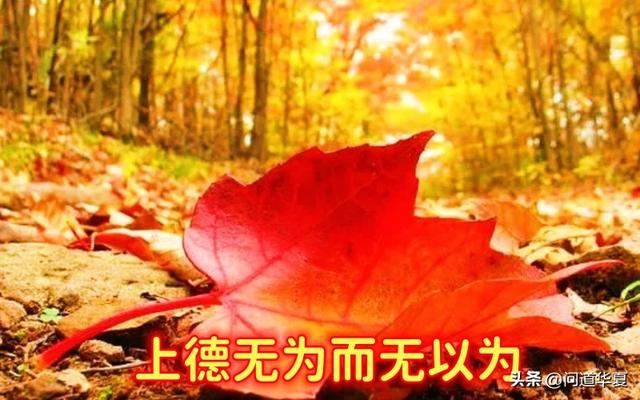 奥修谈佛陀、摩西与老子：你只需了解老子一个人就够了！
