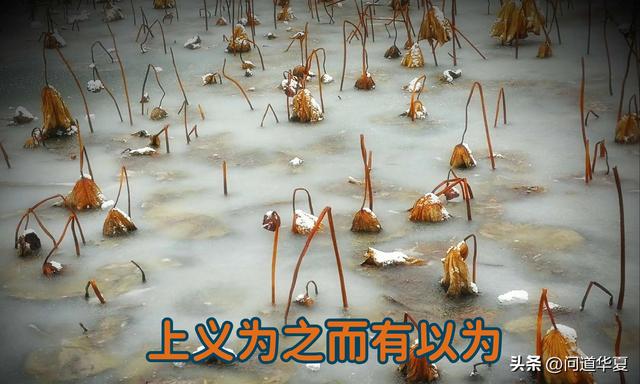 奥修谈佛陀、摩西与老子：你只需了解老子一个人就够了！