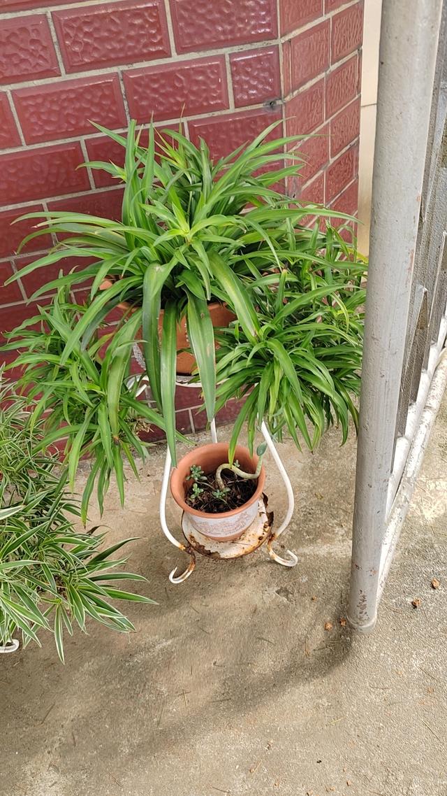 出家师父的一天是怎么过的？