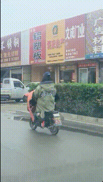 这可能会震碎你三观，这些照片已经在社交媒体上传爆了！