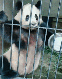 这可能会震碎你三观，这些照片已经在社交媒体上传爆了！