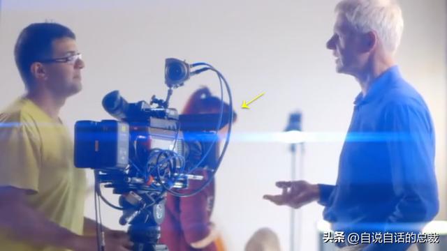 猫的反应速度是人类七倍？为什么说猫能看到子弹时间？