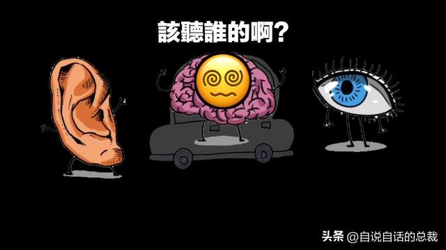 猫的反应速度是人类七倍？为什么说猫能看到子弹时间？