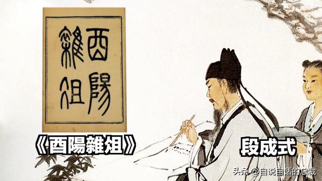 猫的反应速度是人类七倍？为什么说猫能看到子弹时间？
