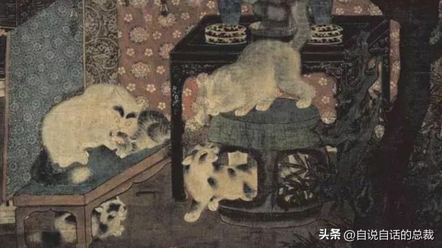 猫的反应速度是人类七倍？为什么说猫能看到子弹时间？