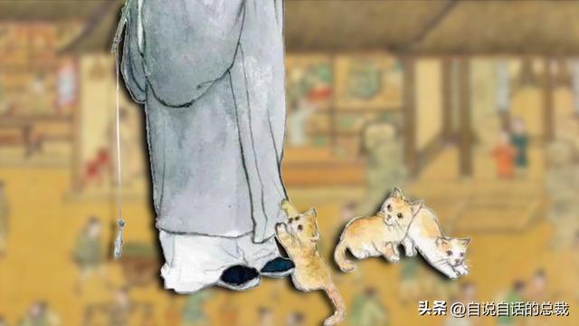 猫的反应速度是人类七倍？为什么说猫能看到子弹时间？