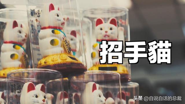 猫的反应速度是人类七倍？为什么说猫能看到子弹时间？