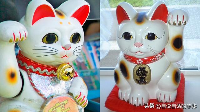 猫的反应速度是人类七倍？为什么说猫能看到子弹时间？