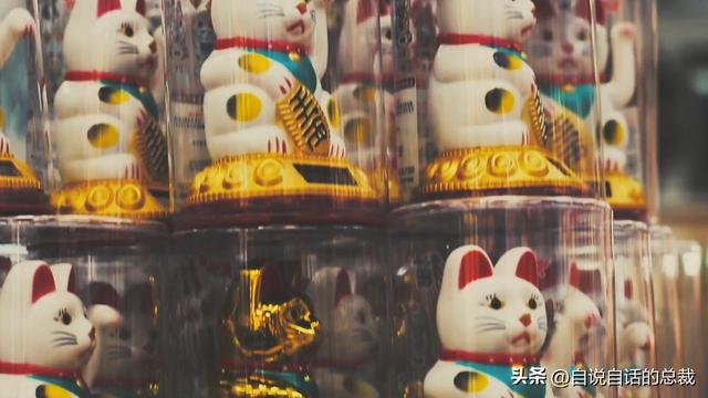猫的反应速度是人类七倍？为什么说猫能看到子弹时间？