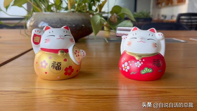 猫的反应速度是人类七倍？为什么说猫能看到子弹时间？