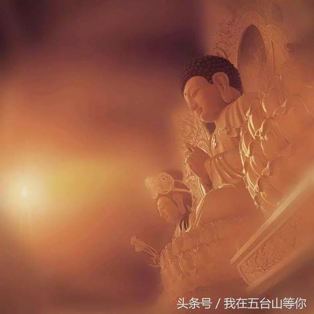 佛的足迹——张望摄影作品欣赏