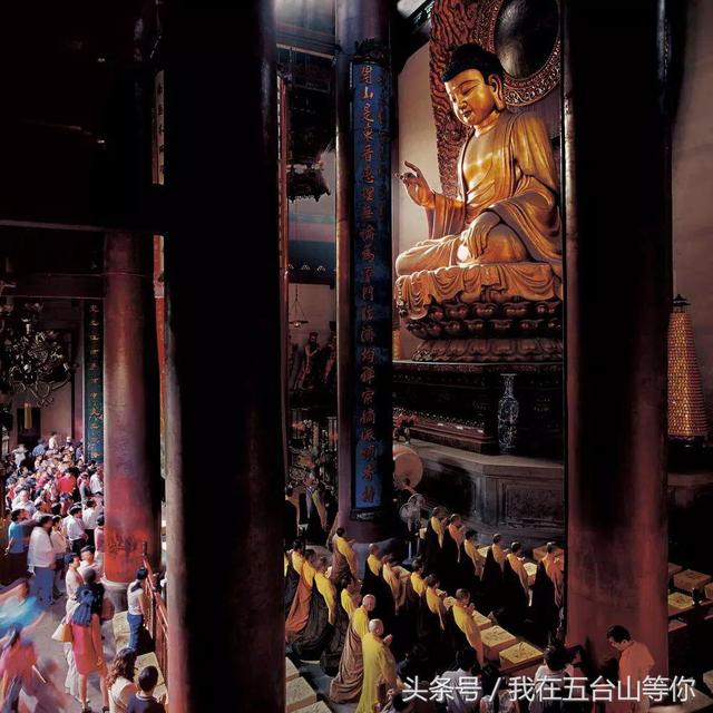 佛的足迹——张望摄影作品欣赏