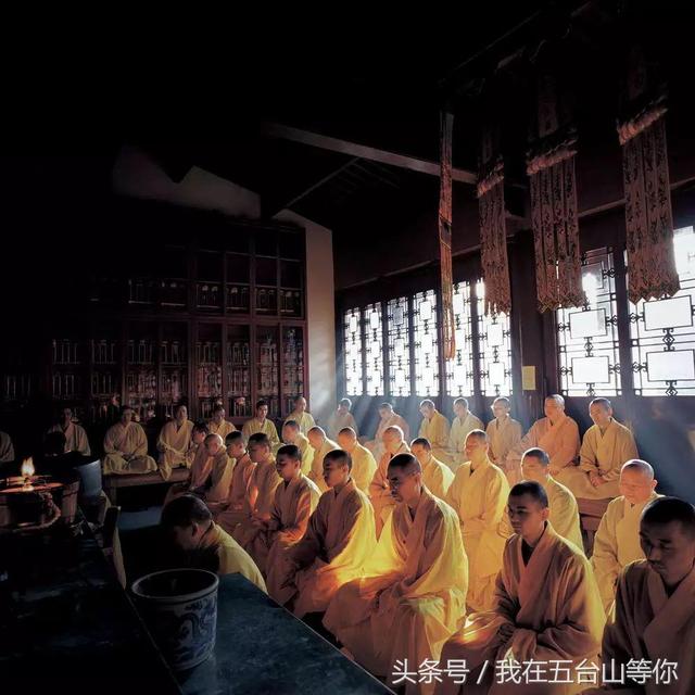 佛的足迹——张望摄影作品欣赏