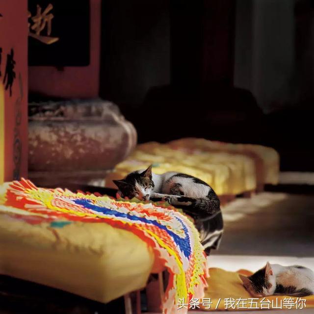 佛的足迹——张望摄影作品欣赏