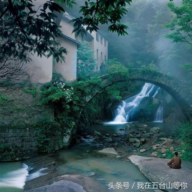 佛的足迹——张望摄影作品欣赏