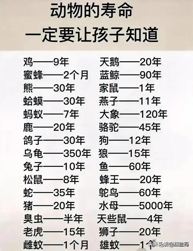 看完涨知识了，收藏起来看看