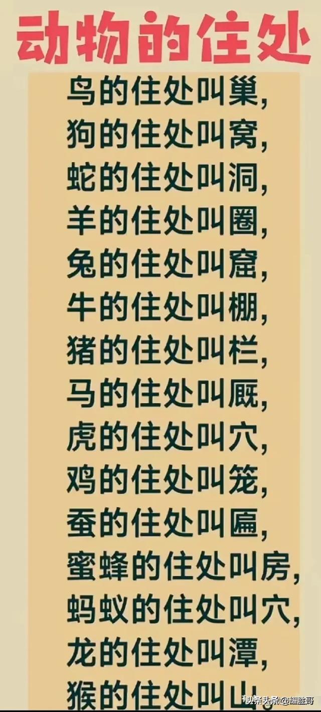 看完涨知识了，收藏起来看看
