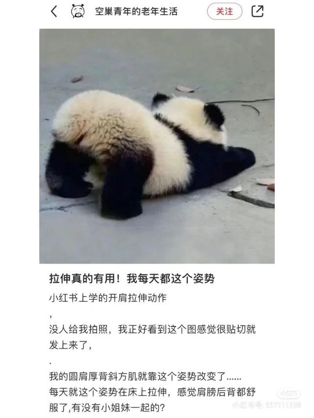 学！都给我狠狠学习！这不就是天才