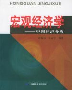 经济学教程：中国经济分析 – 司春林 / 王安宇