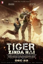 老虎是活的 Tiger Zinda Hai |  阿里·阿巴斯·札法